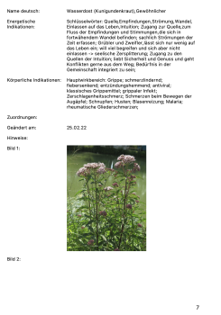 PDF: Pflanzenindikationen aus der Passiflora-Datenbank, die nicht im Buch Arzneimittelbilder enthalten sind